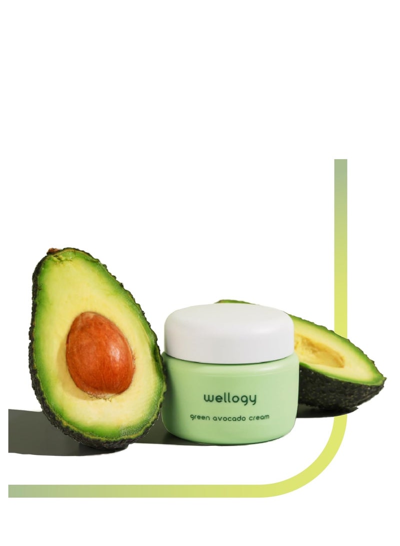 Wellogy Korean Daily Niacinamide Moisturizer Face Cream with Vitamin C and Natural Green Avocado | Normal to Combination Skin | Vegan, Moisture Boost, Lightweight Formula for Hydrated Skin | 55ml - Image 1
