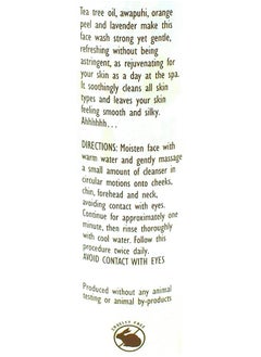 TJ's Trader Joe's Spa Face Wash with Tea Tree Oil (2 Packs)  - Image 2