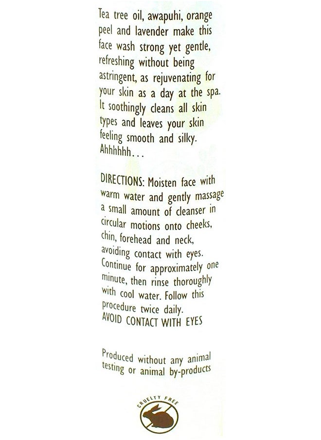 TJ's - Trader Joe's Spa Face Wash with Tea Tree Oil (2 Packs) - Image 1