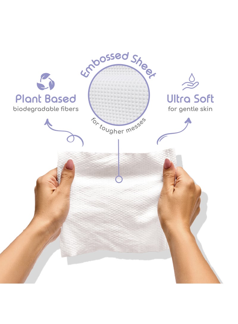 بيور بورن مناديل لوشن آذريون 60 مناديل - Image 2