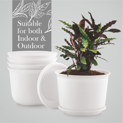 INKULTURE 10 Inch Plastic Round Flower Pots with Tray for Home Planters, Terrace, Garden Etc | Pack of 05 | White | for Home Indoor & Outdoor Gardening Plants - Image 1