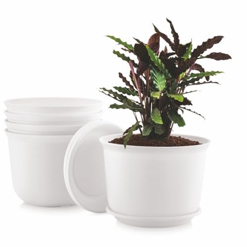 INKULTURE 10 Inch Plastic Round Flower Pots with Tray for Home Planters, Terrace, Garden Etc | Pack of 05 | White | for Home Indoor & Outdoor Gardening Plants - Image 2