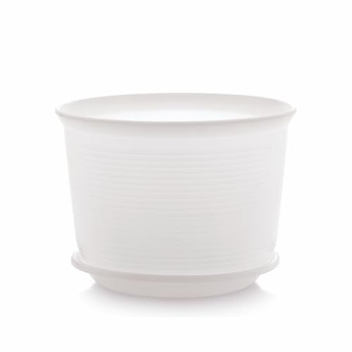 INKULTURE 10 Inch Plastic Round Flower Pots with Tray for Home Planters, Terrace, Garden Etc | Pack of 05 | White | for Home Indoor & Outdoor Gardening Plants - Image 5