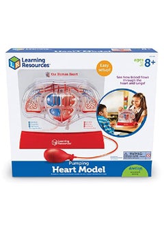 Learning Resources Pumping Heart Model 1 Piece Grades 3+ ; Ages 8+ Educational Science Kit Science Education Supplies Science Teaching Supplies  - Image 4
