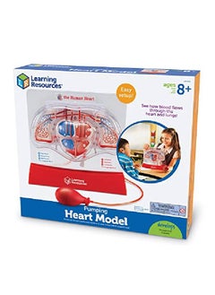Learning Resources Pumping Heart Model 1 Piece Grades 3+ ; Ages 8+ Educational Science Kit Science Education Supplies Science Teaching Supplies  - Image 5