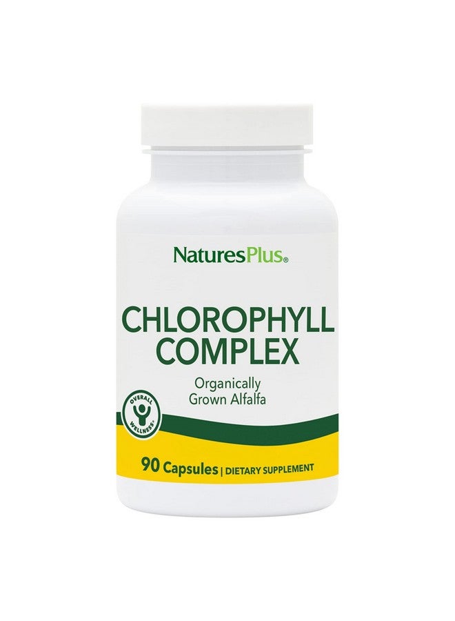 NaturesPlus Natures Plus Chlorophyll Complex - 90 Vegetarian Capsules - Nutritional Support for General Well-Being - Vegan - 45 Servings - Image 1