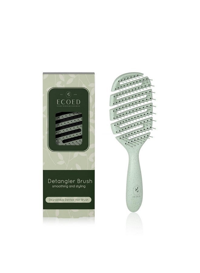 ecoed Degradable Vented Hair Brushdetangling Brushdetangler Brush For Curly Thick And Straight Hair Dry And Wet Detangling Quickly Detangles And Smooths Hairhair Brush For Women And Men. - Image 1