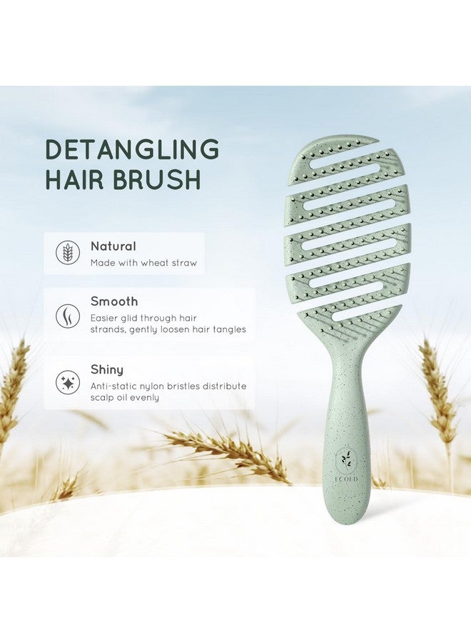 ecoed Degradable Vented Hair Brushdetangling Brushdetangler Brush For Curly Thick And Straight Hair Dry And Wet Detangling Quickly Detangles And Smooths Hairhair Brush For Women And Men. - Image 2