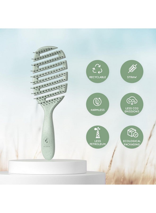 ecoed Degradable Vented Hair Brushdetangling Brushdetangler Brush For Curly Thick And Straight Hair Dry And Wet Detangling Quickly Detangles And Smooths Hairhair Brush For Women And Men. - Image 3