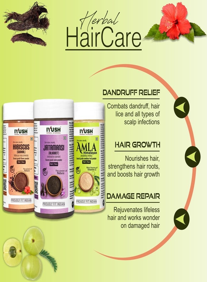 IYUSH Herbal Ayurveda Jatamansi Amla Hibiscus Powder for Hair Growth - 750gm | Amla Powder, Hibiscus Powder, and Jatamansi Powder | Hair Volume Powder | Skin Care & Hair Care | (250gm each) - Image 2
