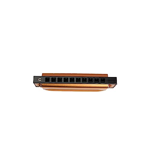 Kadence T104-GD Diatonic Harmonica | Key of C with 10 Holes and 20 Tones | Portable Mouth Organ with Hard Case | Includes Learning Course | Gold - Image 5