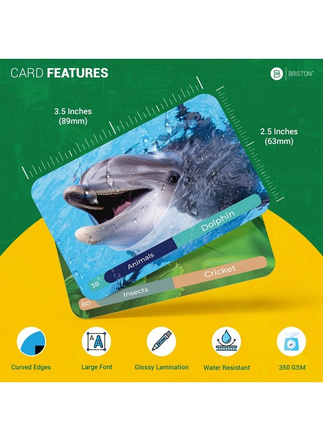 Briston Spanish Vocabulary Flash Cards - 600 Full Color Cards [Updated 2024 Edition] Educational Language Learning Resource - Memory & Sight Words - Game Like Play - Kids, Grade School, Classroom, Homeschool  - Image 5