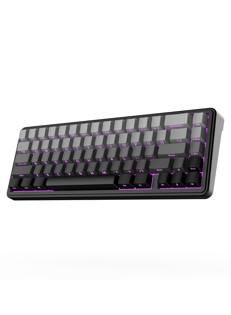 AULA F65 65% Wireless Mechanical Keyboard, Bluetooth/2.4GHz/Wired, Hot Swappable Gasket Custom Gaming Keyboard with Five-Layer Padding, RGB Backlit - Image 1