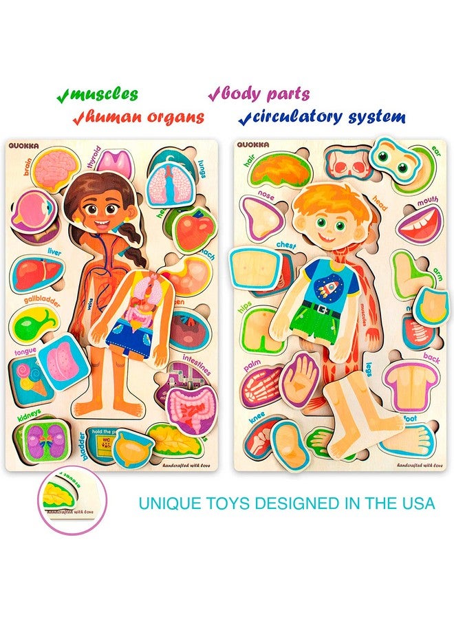 QUOKKA Puzzles for Kids - Montessori Puzzles for Toddlers 3-5 - Preschool Game Learning Human Body Parts Anatomy Skeleton - Educational Toys for Boy & Girl - Image 2
