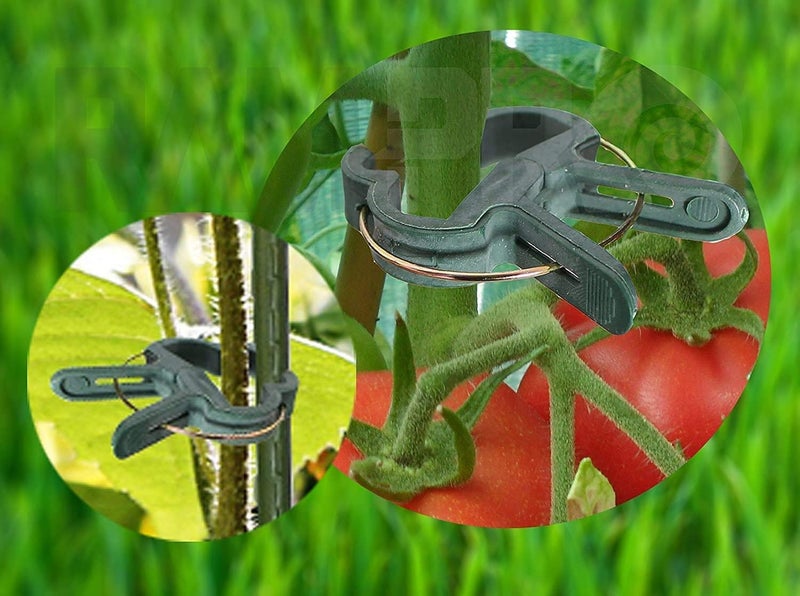 Ram-Pro 80 Piece Green Gentle Gardening Plant & Flower Lever Loop Gripper Clips, Tool for Supporting or Straightening Plant Stems, Stalks, and Vines, Garden Clips - Image 4