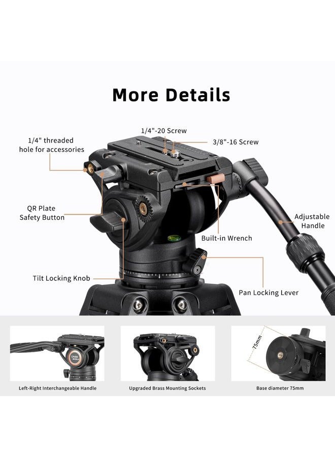 Cayer BV25LH Video Tripod System, 74 inch Carbon Fiber Professional Heavy Duty Camera Tripod Kit, Twin Tube Tripod Leg with K3 Fluid Drag Head, 2 Pan Bar Handles, Max Loading 13.2 LB - Image 3