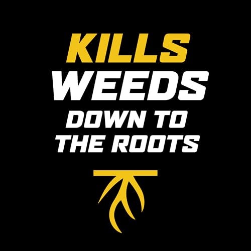 Ortho مبيد الأعشاب أورثو ويدكلير جاهز للرش للعشب: يعالج حتى 16,000 قدم مربع، لن يضر العشب (عند الاستخدام كما هو موجه)، يقتل الهندباء والبرسيم، 32 أونصة. - Image 3