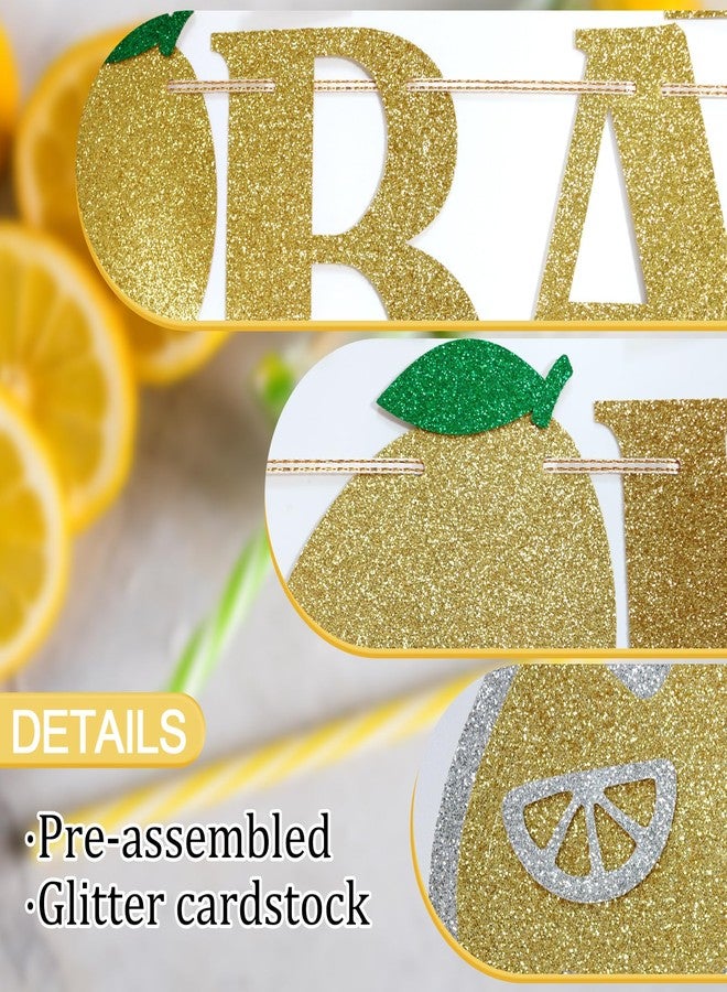 FOZEE Lemonade Bar Banner, Lemonade Party Decor, Lemon Stand Banner, Lemon Birthday Decorations, Summer Party Decor, Pre-strung - Image 3