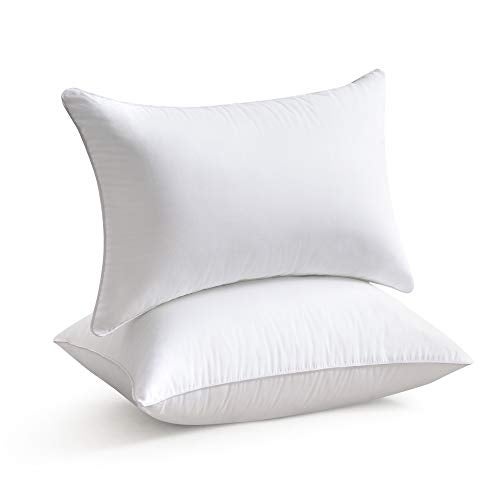 Leeden 12 x 20 Pillow Inserts Set of 2  100 Cotton Cover With Zipper  Rectangle Interior Sofa Throw Pillows  Decorative White Couch Pillow Pair