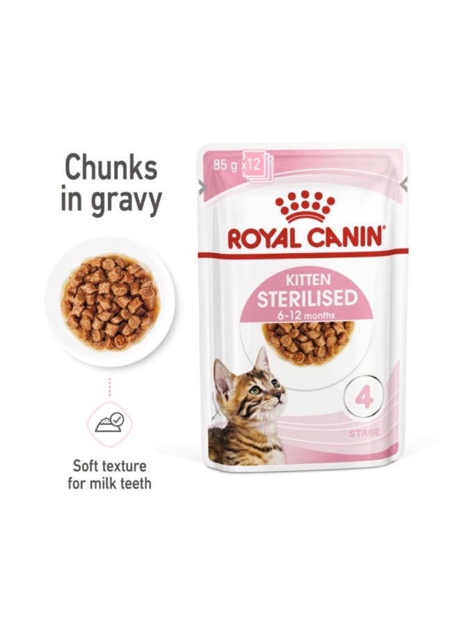 تغذية صحة القطط - مرق معقم للقطط الصغيرة (طعام رطب - أكياس) ١٢ × ٨٥ جم