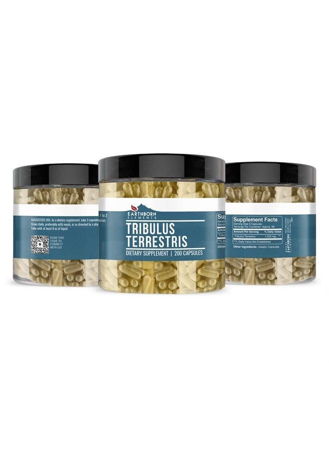 earthborn elements تريبولوس تيرستريس 200 كبسولة، نقي وغير مخفف، بدون إضافات - Image 2