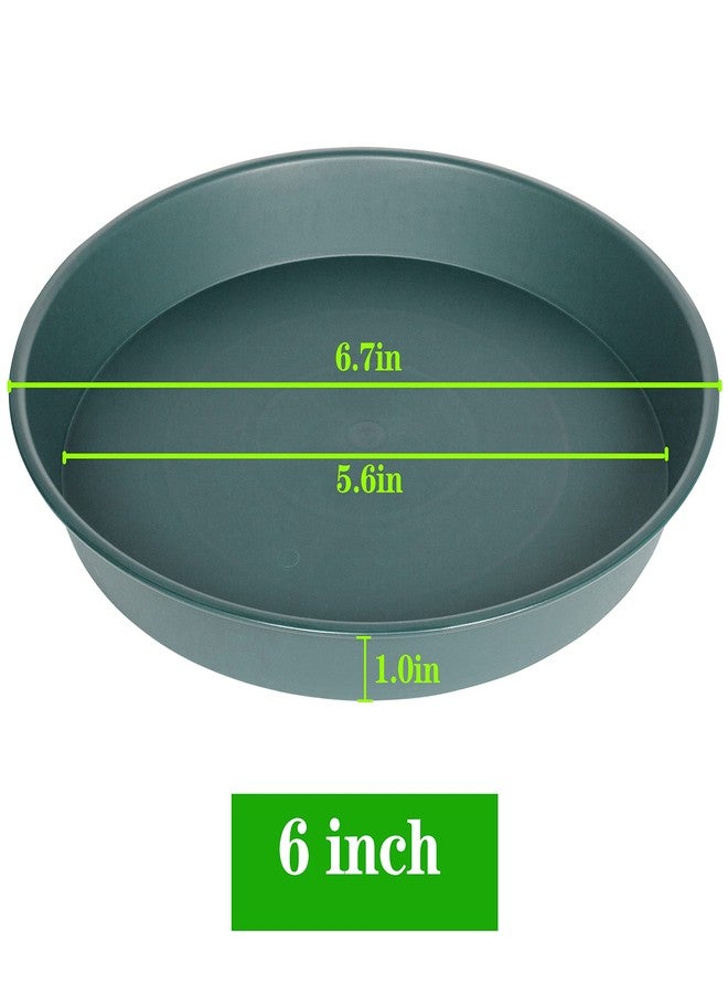 Bleuhome 6 Pack Plant Saucer Tray Green, 4 6 8 10 12 13 15 17 19 inch Pot Saucers, Heavy Duty Plastic Plant Saucers for Indoors, Plant Drip Tray, Plant Trays for pots Planter (6", Green) - Image 2
