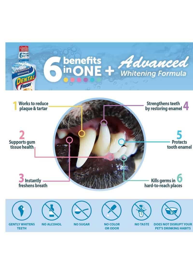 SynergyLabs Whitening Dental Fresh For Dogs 237 Ml - Image 3