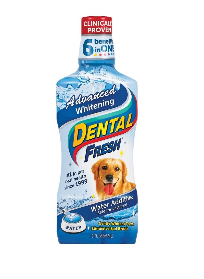 SynergyLabs Whitening Dental Fresh For Dogs 237 Ml - Image 1