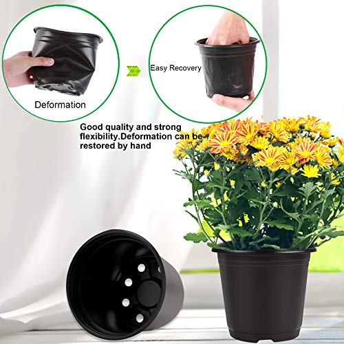 Augshy 75 Pcs 0.5 Gallon Black Plastic Plant Nursery Garden Pots 6 Inches Seed Starting Pots Containers with 100 Labels - Image 5