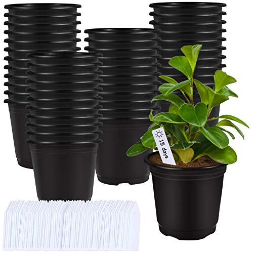 Augshy 75 Pcs 0.5 Gallon Black Plastic Plant Nursery Garden Pots 6 Inches Seed Starting Pots Containers with 100 Labels - Image 1