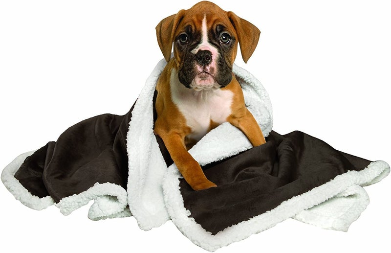 Fluffy's Luxurious Premium Dog/Cat Blanket, Soft and Warm Pet Throw for Dogs & Cats (Black) (Black, 25'' X 35'' (Small)) - Image 1