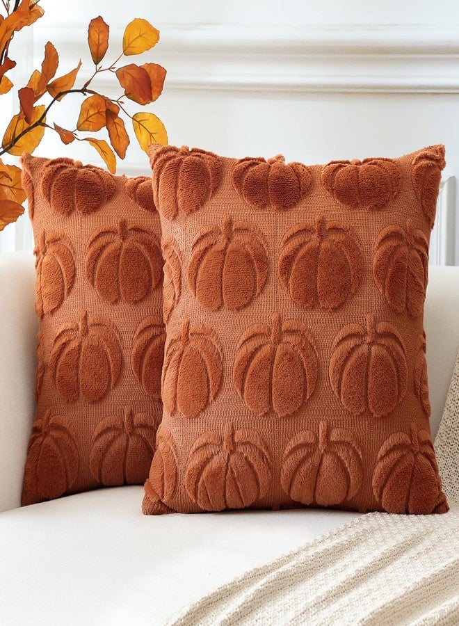 OTOSTAR Fall Pillow Covers Set of 2 Autumn Pumpkin Throw Pillow Covers for Sofa Couch Bed Living Room Soft Plush Short Wool Velvet Farmhouse Throw Pillow Covers for Halloween Rust 14x14 Inch - Image 1