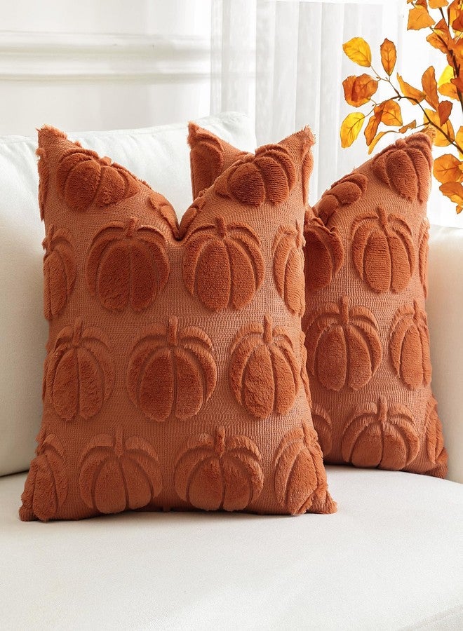 OTOSTAR Fall Pillow Covers Set of 2 Autumn Pumpkin Throw Pillow Covers for Sofa Couch Bed Living Room Soft Plush Short Wool Velvet Farmhouse Throw Pillow Covers for Halloween Rust 14x14 Inch - Image 4