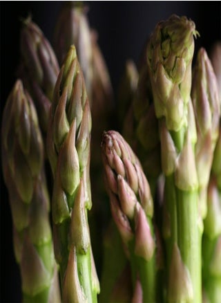 Vegetable Seeds, Asparagus Connovers Colossal, V ASP 01, 100 Seeds Minimum Per Packet. - pzsku/Z39E818F712B856F38A88Z/45/_/1738834885/598813ab-944b-4066-961b-abd0df0e0151