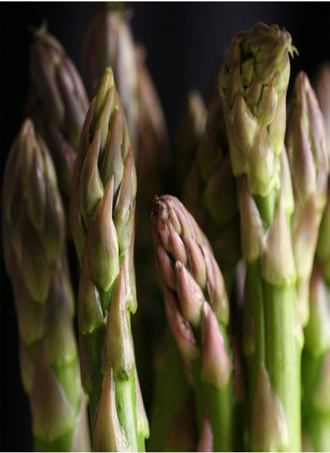 Vegetable Seeds, Asparagus Connovers Colossal, V ASP 01, 100 Seeds Minimum Per Packet.