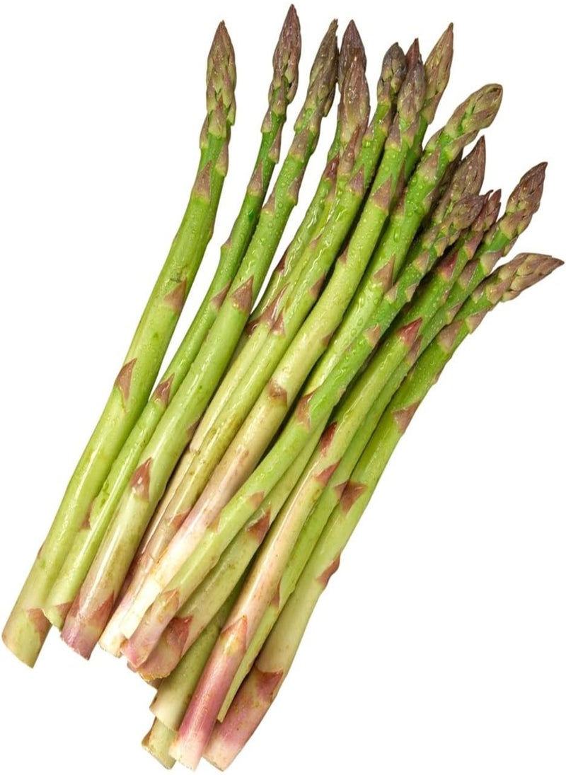 Vegetable Seeds, Asparagus Connovers Colossal, V ASP 01, 100 Seeds Minimum Per Packet.