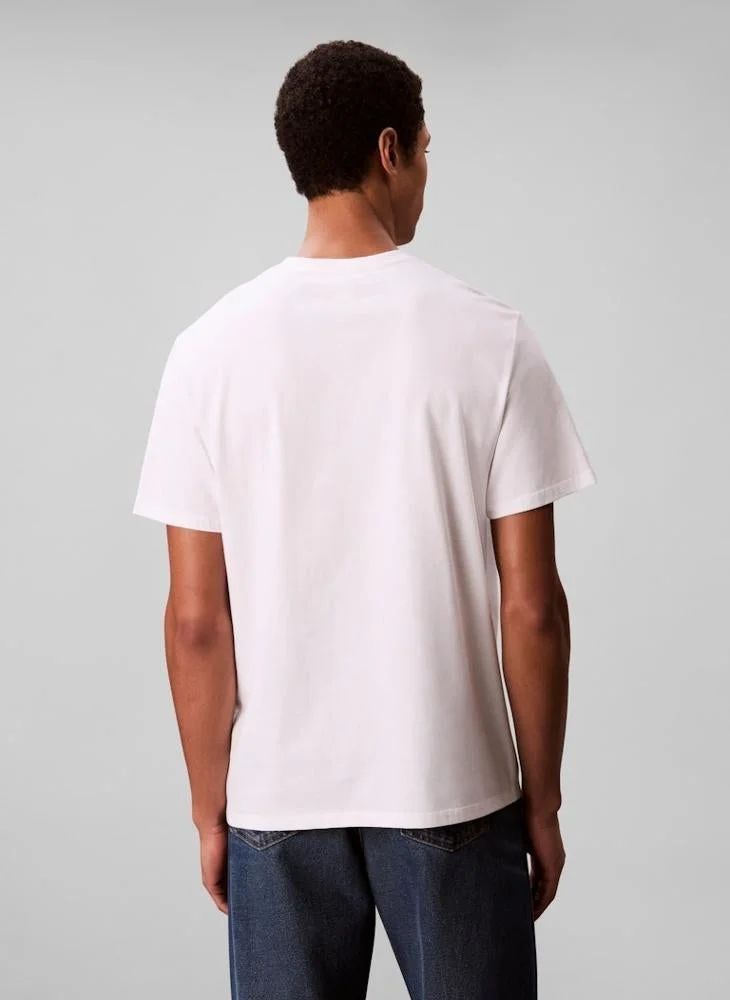 CALVIN KLEIN Logo Graphic Short Sleeve T-Shirt