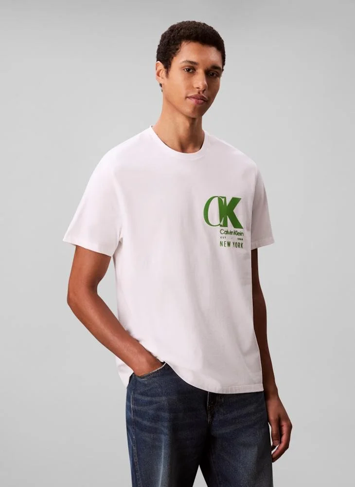 CALVIN KLEIN Logo Graphic Short Sleeve T-Shirt