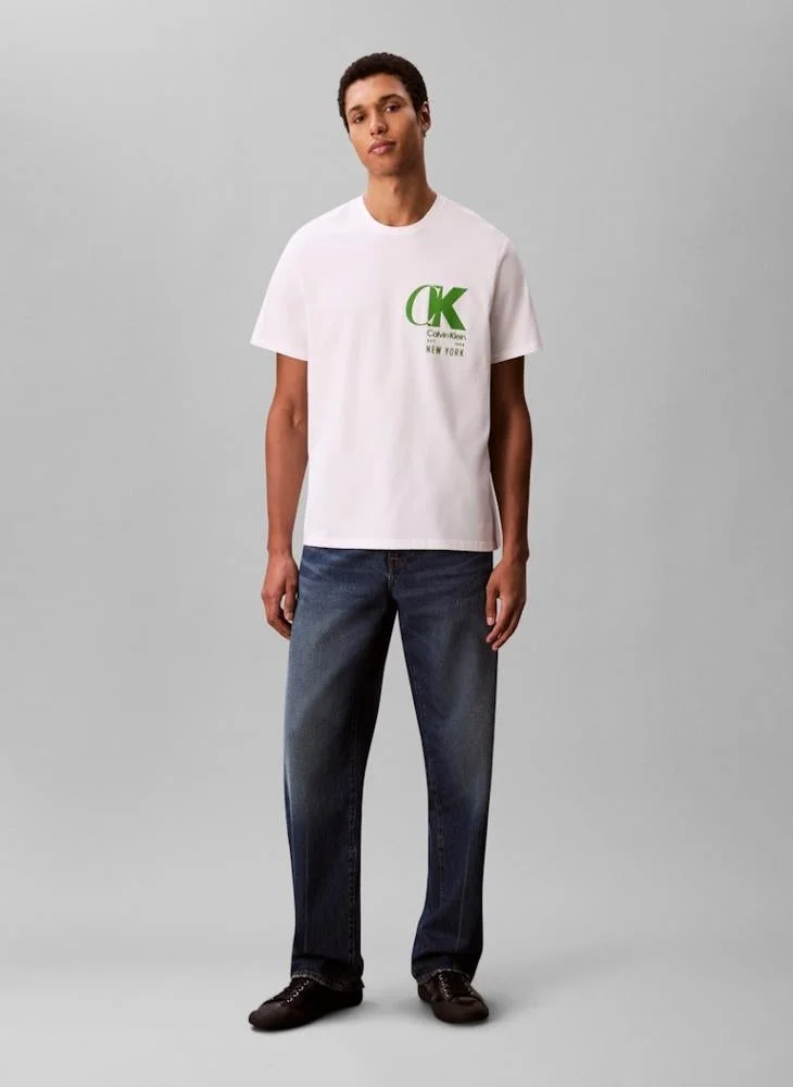 CALVIN KLEIN  Logo Graphic Short Sleeve T-Shirt for Men | Best Price UAE