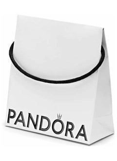 Small Gift Bag Bv1