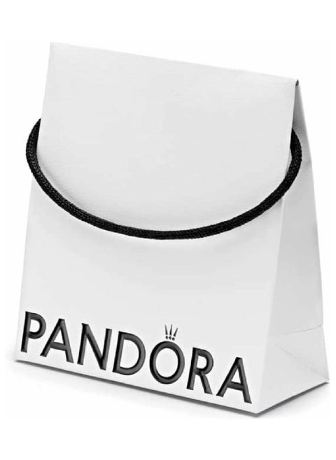 Small Gift Bag Bv1