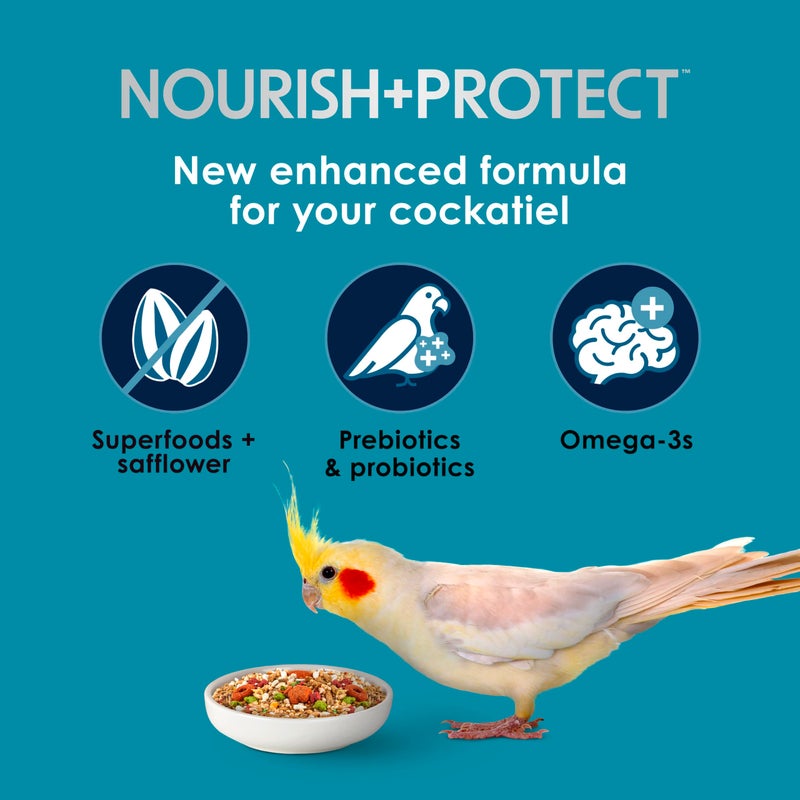 Kaytee Forti-Diet Pro Health+Safflower Nourish+Protect Cockatiel Food, Supports Breeding and Molting, Nutrition Backed by Science, Digestive and Brain Health, 4 pounds - Image 3