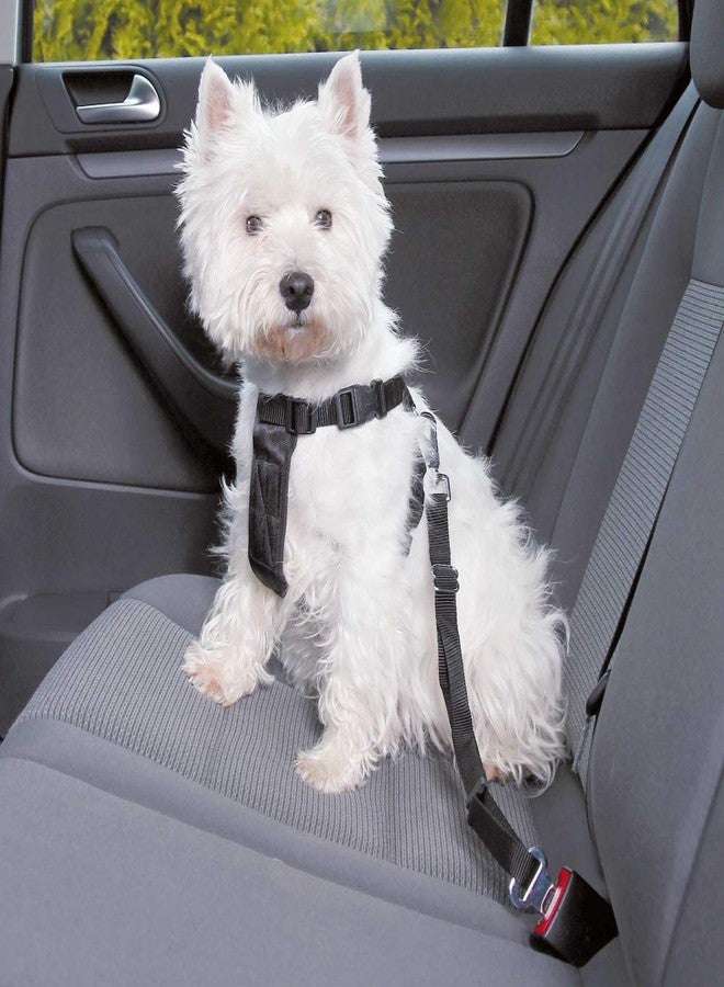 Trixie: - Car Harness | Prevents The Pet from Moving Around in The Vehicle | Adjustable Strap to Suit The Length According to Your Comfort | Can Also be Used for Daily Walk - Black 30-60cm/20mm Small - Image 1