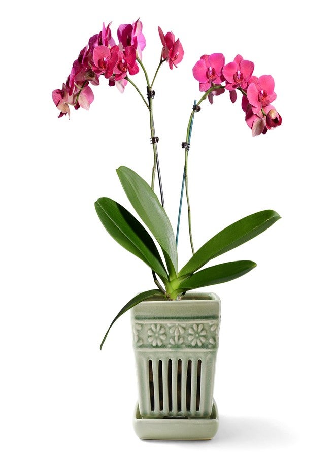 SUADEN Orchid Pots with Holes | 5" Ceramic Orchid Pot with Attached Saucer and Drainage Holes | Enamel Ceramic Small Flower Pot for Repotting Orchids (Green) - Image 1