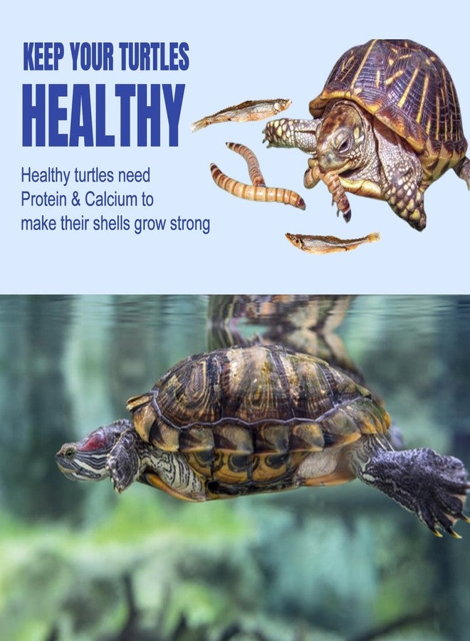 Amzey 2 Pack Aquatic Turtle Food, Vitamin, Enriched Medley Treats of Freeze, Dried Mealworms, River Shrimp & River Fishes, High Protein Turtle Medley Food for Aquatic Tortoise, 3.7 Ounce Total - Image 3