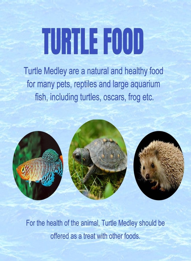 Amzey 2 Pack Aquatic Turtle Food, Vitamin, Enriched Medley Treats of Freeze, Dried Mealworms, River Shrimp & River Fishes, High Protein Turtle Medley Food for Aquatic Tortoise, 3.7 Ounce Total - Image 5