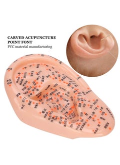 Human Ear Acupuncture Anatomical Model with Acupuncture Points