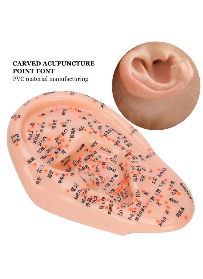 klarako - Human Ear Acupuncture Anatomical Model with Acupuncture Points - Image 1