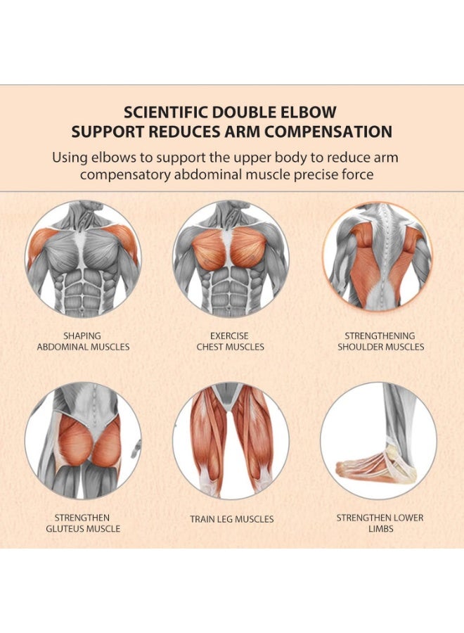 اتش اس New Abs Roller Wheel with Timer Abdominal Exercise Wheel Automatic Rebound Abdominal Wheel for Newbies with Knee Mat for Body Fitness Strength Training Home Gym - Image 2