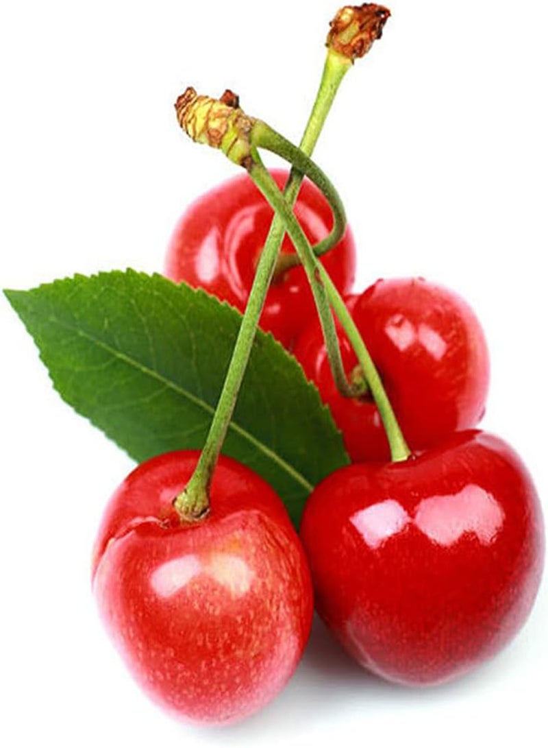 جي جوت 20 قطعة من بذور الكرز أشجار الفاكهة المعمرة لها قيمة زخرفية وقيمة اقتصادية ديكور حديقة جميل محبوب من قبل الناس - Image 2